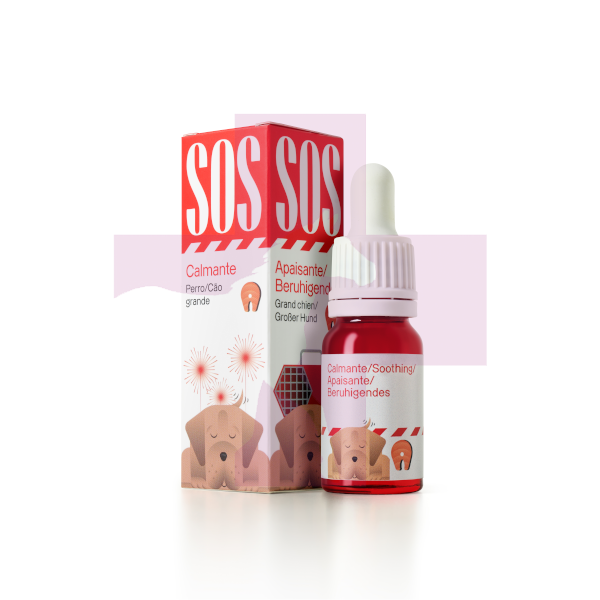 CBD DOGS DROPS OIL SABOR SALMON 1000MG , 10ML