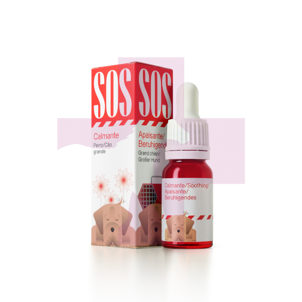 CBD DOGS DROPS OIL 1000MG , 10ML