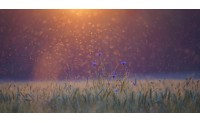 INSECTICIDAS EN GANADERÍA ¿QUÉ SON Y CUÁNDO UTILIZARLOS?